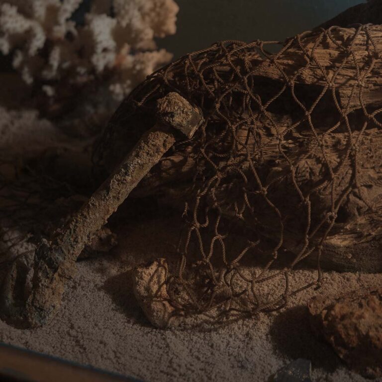 Exhibit at the Savannah Pirates and Treasure Museum