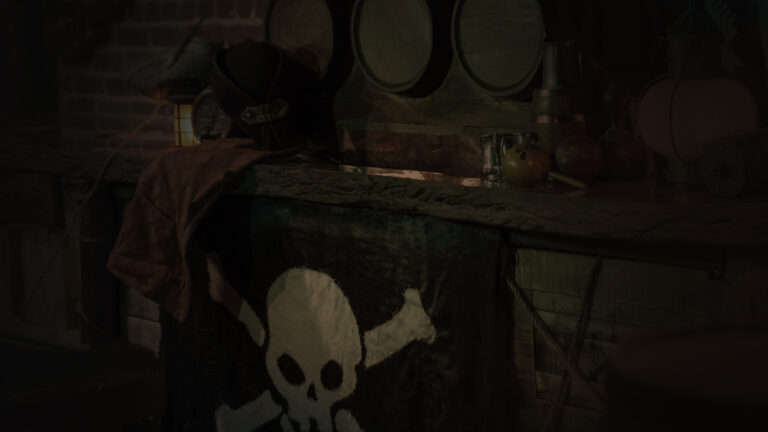exhibit: pirates in media at the savannah museum