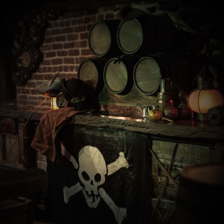 exhibit at the savannah pirates and treasure museum