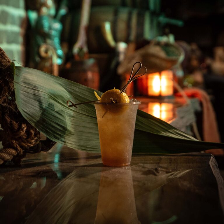 savannah pirate and treasure museum and drink ticket