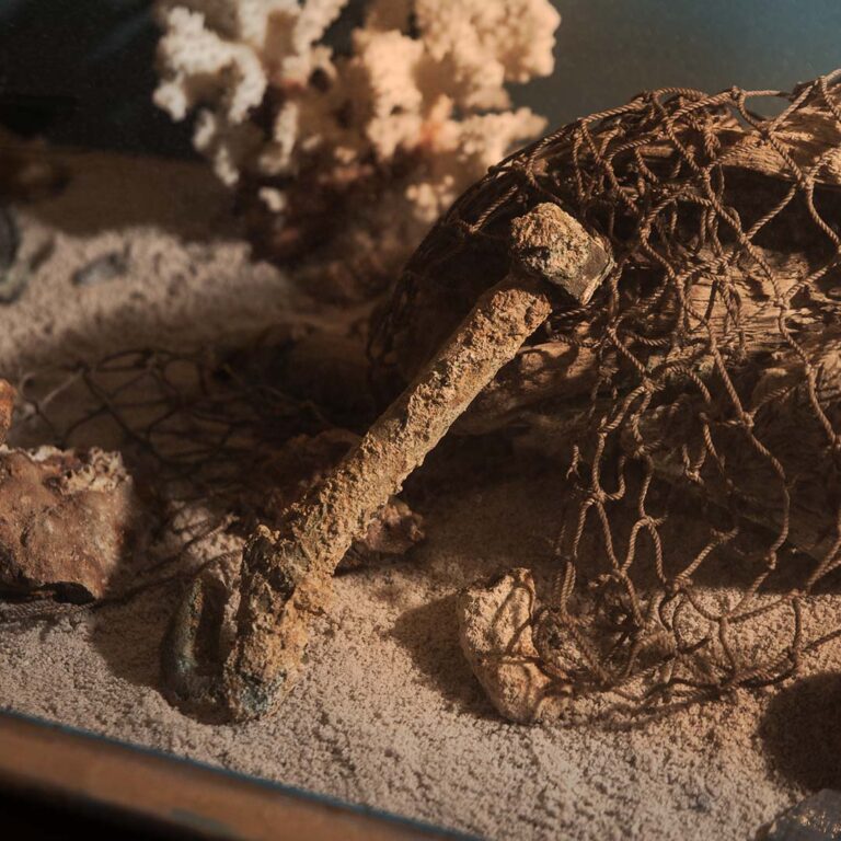 savannah pirate and treasure museum exhibit