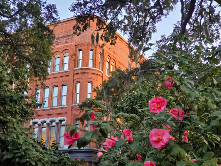 Savannah Neighborhoods Guide & Visitor Information